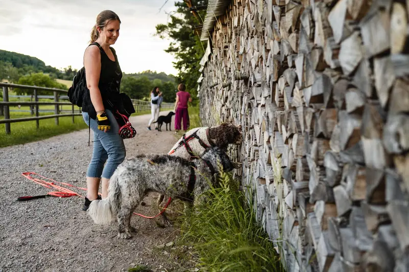 Teilnehmerin der Ver-Bindungs-Walks mit ihrem Hund, der an einem Holzstapel schnuppert