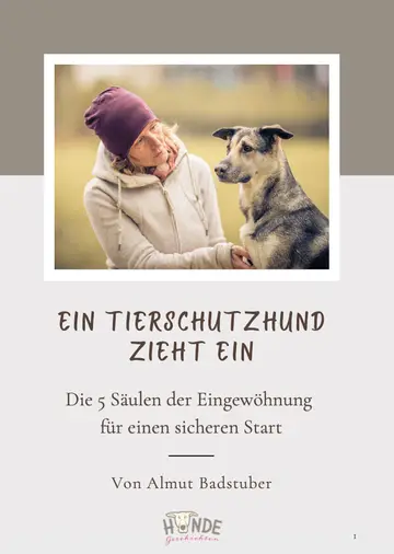 Titelseite des Leitfadens „Ein Tierschutzhund zieht ein“