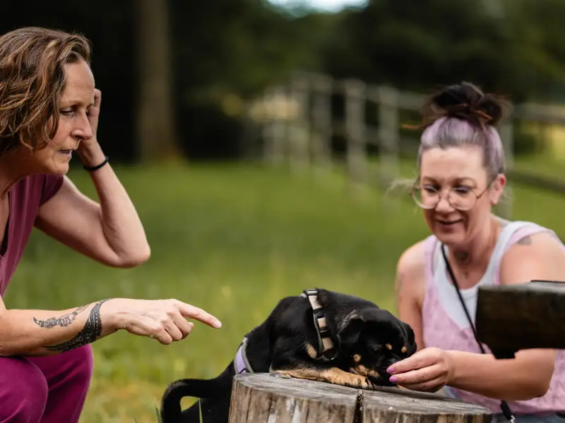 Almut zeigt einer Teilnehmerin eine Übung, deren junger schwarzer Hund auf einem Baumstumpf sitzt