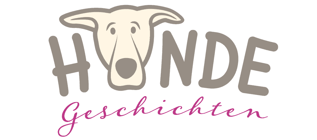 Entspannter Hundespaziergang